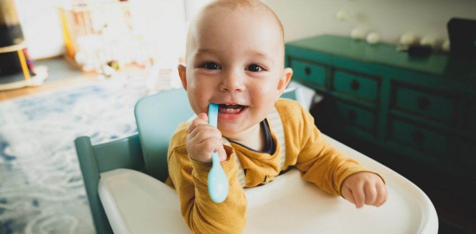 Best Baby Smoothie Cup